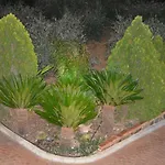 La Alqueria